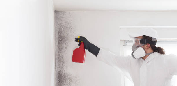 Best Residential Mold Removal  in Haltom City, TX